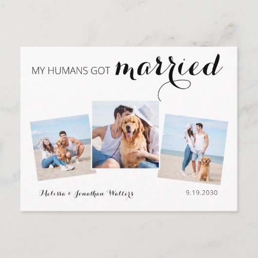 写真モダンコラージュ犬結婚の駆け落ち 案内ポストカード (正面)