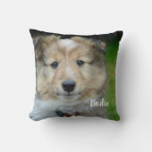 写真モダンペットパーソナライズされたファミリー犬の恋人 クッション (正面)