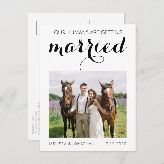 写真モダンペット馬の結婚式の日付を保存 案内ポストカード (正面/裏面)
