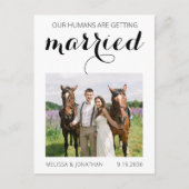 写真モダンペット馬の結婚式の日付を保存 案内ポストカード (正面)