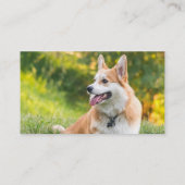 写真モダンペット 名刺 (裏面)