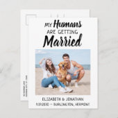 写真モダン犬の結婚式の日付を保存 案内ポストカード (正面/裏面)