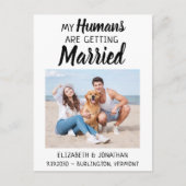 写真モダン犬の結婚式の日付を保存 案内ポストカード (正面)