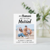 写真モダン犬の結婚式の日付を保存 案内ポストカード (スタンド正面)