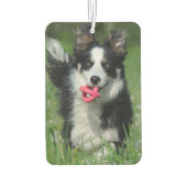 写真モダン犬ペット記念写真 カーエアーフレッシュナー (裏面)