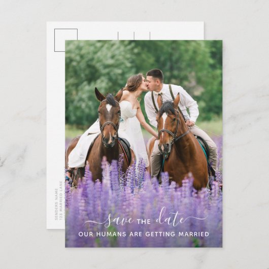 写真モダン馬の結婚式の日付を保存 案内ポストカード (正面/裏面)
