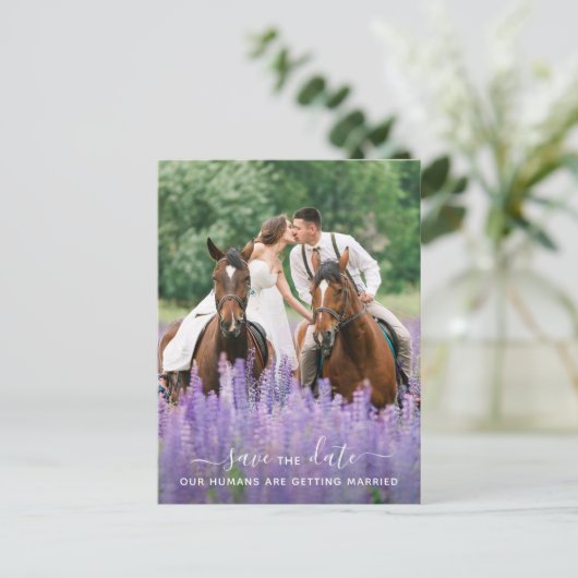 写真モダン馬の結婚式の日付を保存 案内ポストカード (スタンド正面)