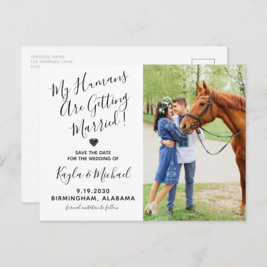 写真モダン馬結婚のウマ科の日付の保存 案内ポストカード (正面/裏面)