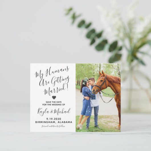 写真モダン馬結婚のウマ科の日付の保存 案内ポストカード (スタンド正面)