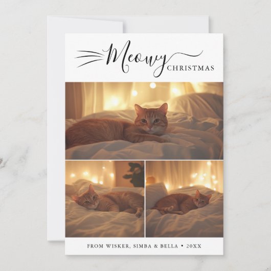 写真モダン3枚クリスマスかわいい猫おもしろいたち シーズンカード (正面)
