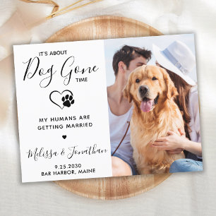 写真モダンPet結婚の犬が日付を保存 案内ポストカード