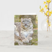 写真ユキヒョウ、動物。カード カード (黄色い花)