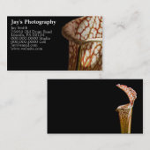 写真ユニーク用名刺 名刺 (正面/裏面)