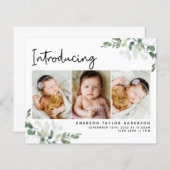 写真ユーカリの誕生の発表 (正面/裏面)