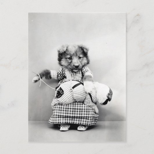 写真ヴィンテージChien ポストカード (正面)