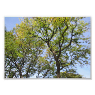 写真上のSMALL Poster # L003 フォトプリント