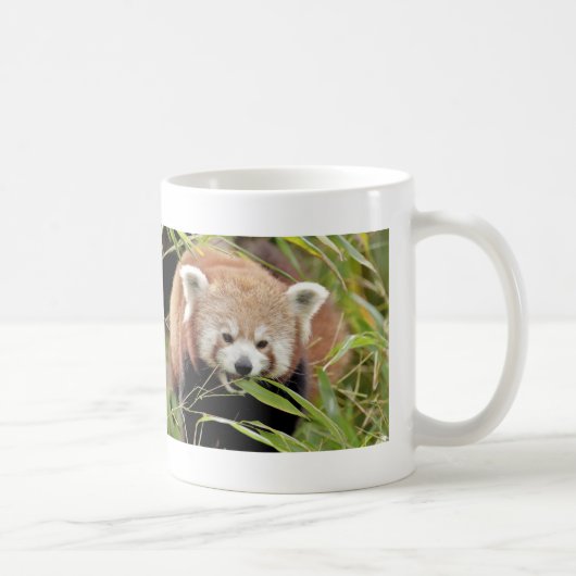 写真付きの赤いパンダ、動物0397。 コーヒーマグカップ (右)