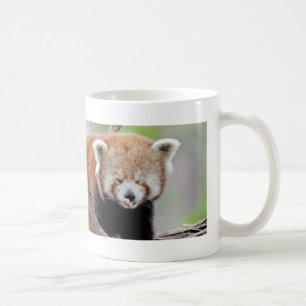 写真付きの赤いパンダ、動物0399。 コーヒーマグカップ