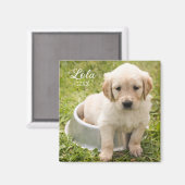 写真付きキープサマグネット マグネット (正面/裏面)