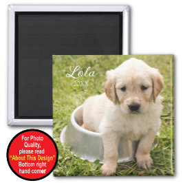 写真付きキープサマグネット マグネット