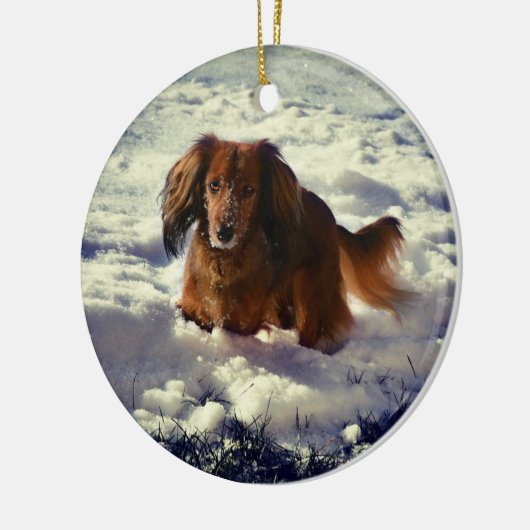 写真付きダシュントのクリスマスオーナメント セラミックオーナメント (左)