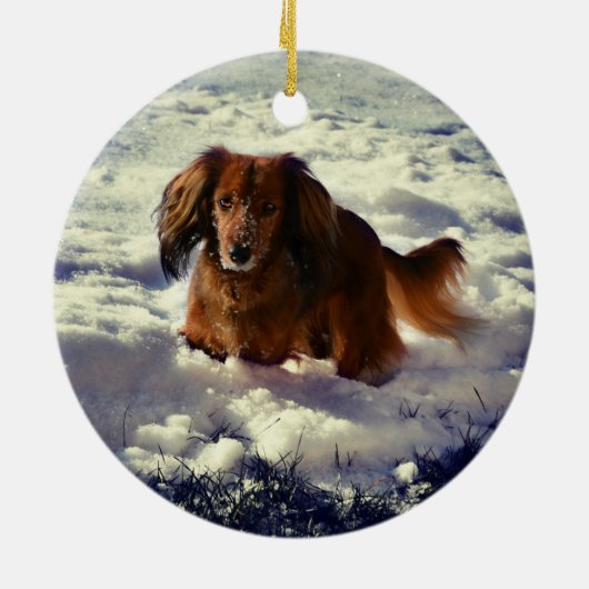 写真付きダシュントのクリスマスオーナメント セラミックオーナメント (裏面)