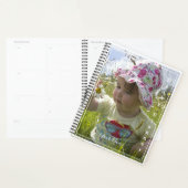 写真付きデイリー planner - HAMbWG プランナー手帳 (ディスプレー)