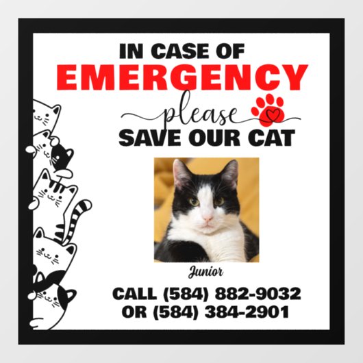 写真付き救緊急猫の場カスタム合 ウィンドウサイン (シート)