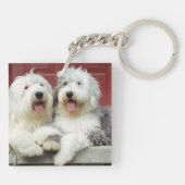 写真入り「犬が1人で家にいます」 キーホルダー (裏面)