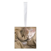 写真名5年キャットドッグペット キューブオーナメント (右)