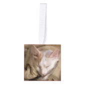 写真名5年キャットドッグペット キューブオーナメント (正面)