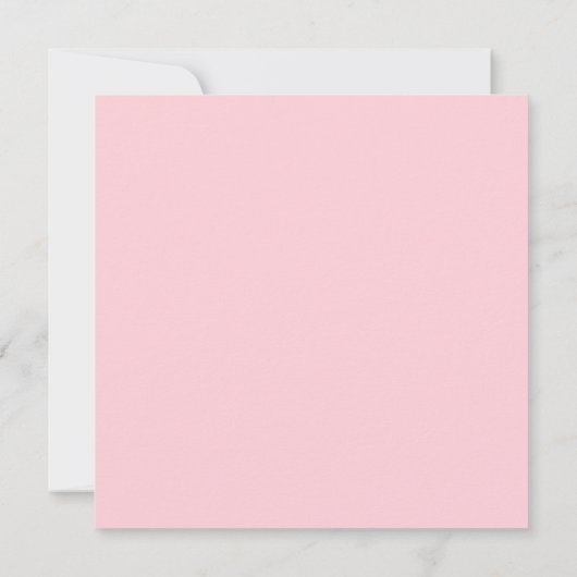 写真妊娠ビッグシスターピンクの発表 案内状 (裏面)