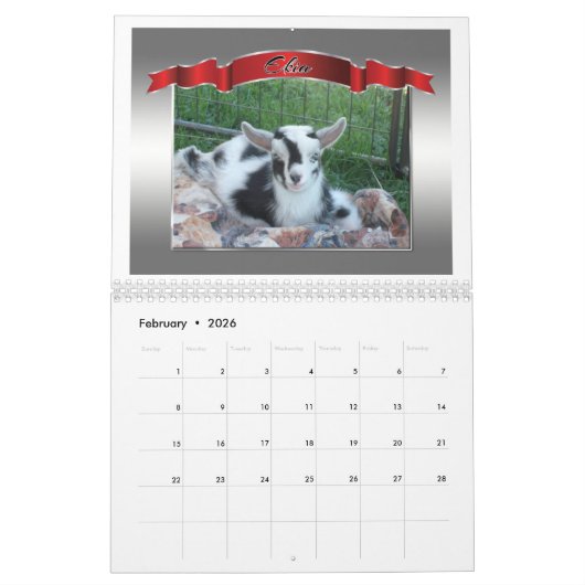 写真完璧なフォトカレンダー美しいヤギ カレンダー (2月 2026)