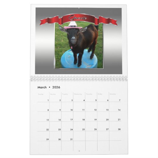 写真完璧なフォトカレンダー美しいヤギ カレンダー (3月 2026)