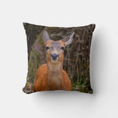 写真家おもしろいで鹿の若手スマイル クッション (正面)