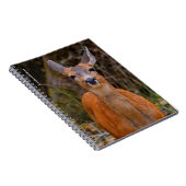 写真家おもしろいで鹿の若手スマイル ノートブック (右側)