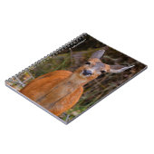 写真家おもしろいで鹿の若手スマイル ノートブック (左側)