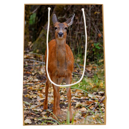 写真家おもしろいで鹿の若手スマイル ミディアムペーパーバッグ (裏面)