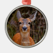 写真家おもしろいで鹿の若手スマイル メタルオーナメント (正面)
