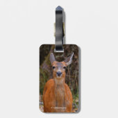 写真家おもしろいで鹿の若手スマイル ラゲッジタグ (裏面縦)