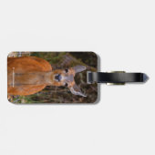 写真家おもしろいで鹿の若手スマイル ラゲッジタグ (裏面横)