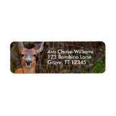 写真家おもしろいで鹿の若手スマイル ラベル (正面)