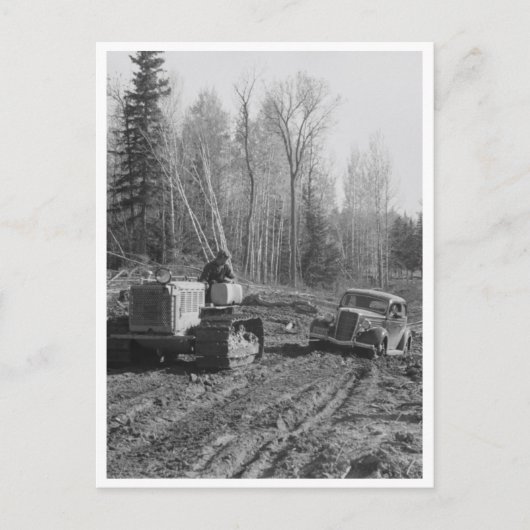 写真家が泥から抜け出す ポストカード (正面)