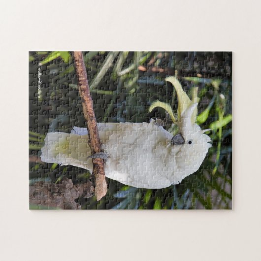 写真家での硫黄の紋付きコッカトゥー波 ジグソーパズル (横)