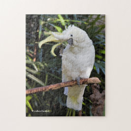 写真家での硫黄の紋付きコッカトゥー波 ジグソーパズル