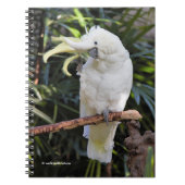 写真家での硫黄の紋付きコッカトゥー波 ノートブック (正面)