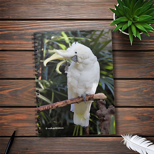 写真家での硫黄の紋付きコッカトゥー波 ノートブック