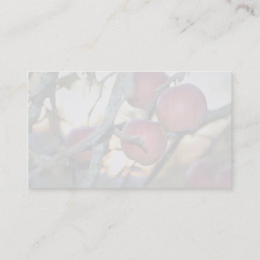 写真家の透かし写真名刺 名刺 (裏面)