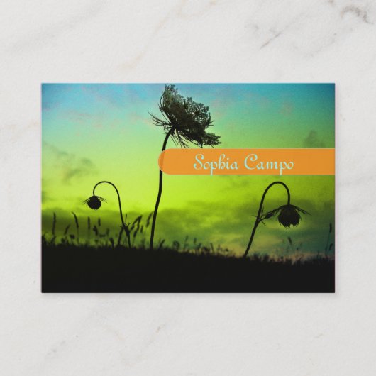 写真家名刺 名刺 (正面)