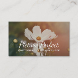 写真家、写真、名刺 名刺